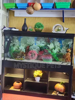 4ft Aquarium