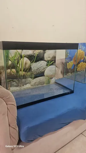 60 Liters Aquarium With Everything