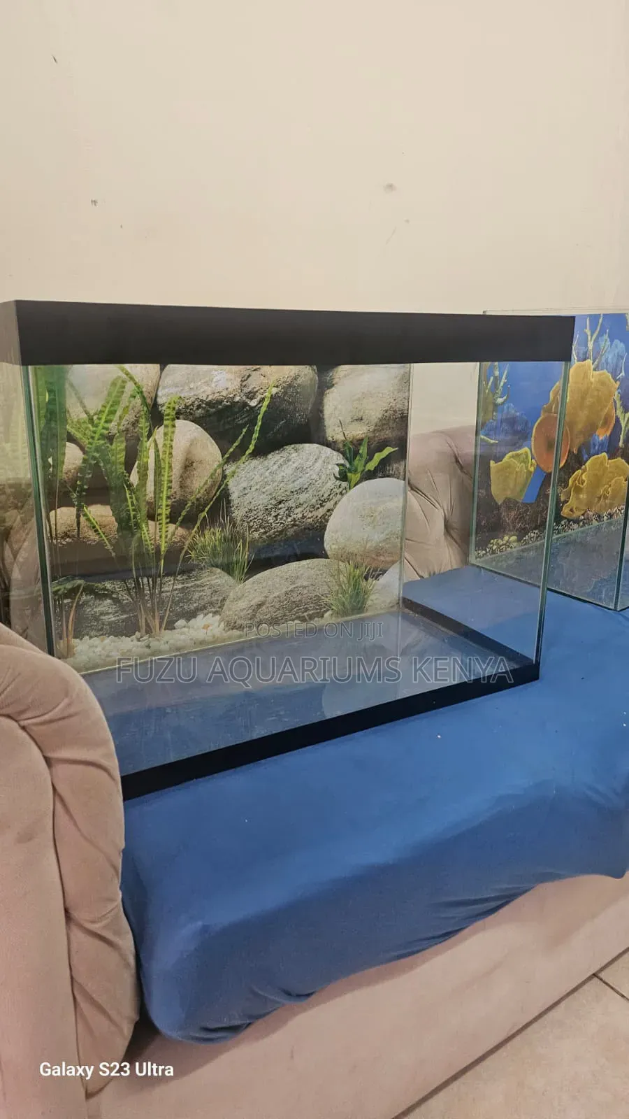60 Liters Aquarium With Everything