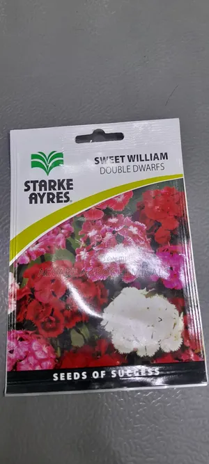 Sweet William Double Dwarfs Flowers (Starke Aryes) 0.8grams