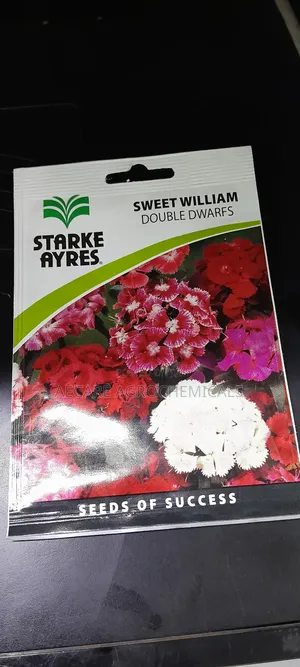 Sweet William Double Dwarfs Flowers (Starke Aryes) 0.8grams