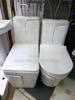 One Body Toilet Seat High Quality Toilet