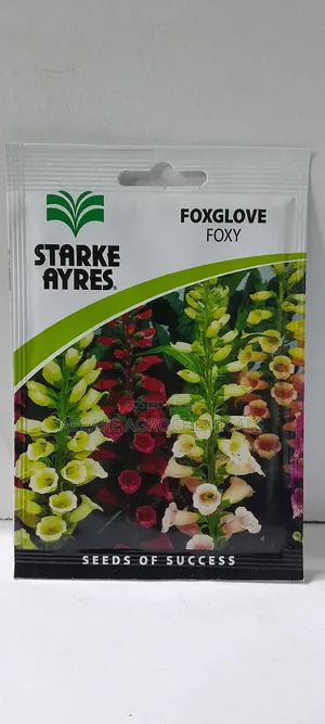 Foxglove Foxy Flower Seeds 0.7 Grams