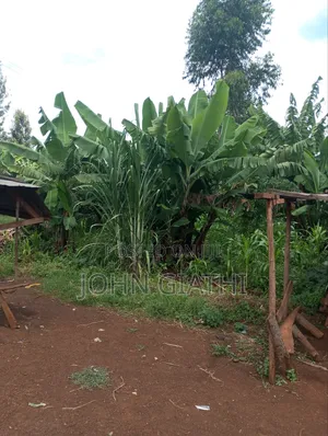 One Acre and an Eigth on Sale Along Bob Harris Ndarugo Road