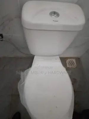 Toilet Wc Top Flash