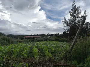 Eighth Acre Plot in Ngong Along Maragara Road Near Tarmac