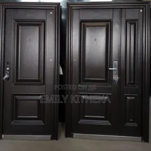Best Quality Double and Single Steel Doors