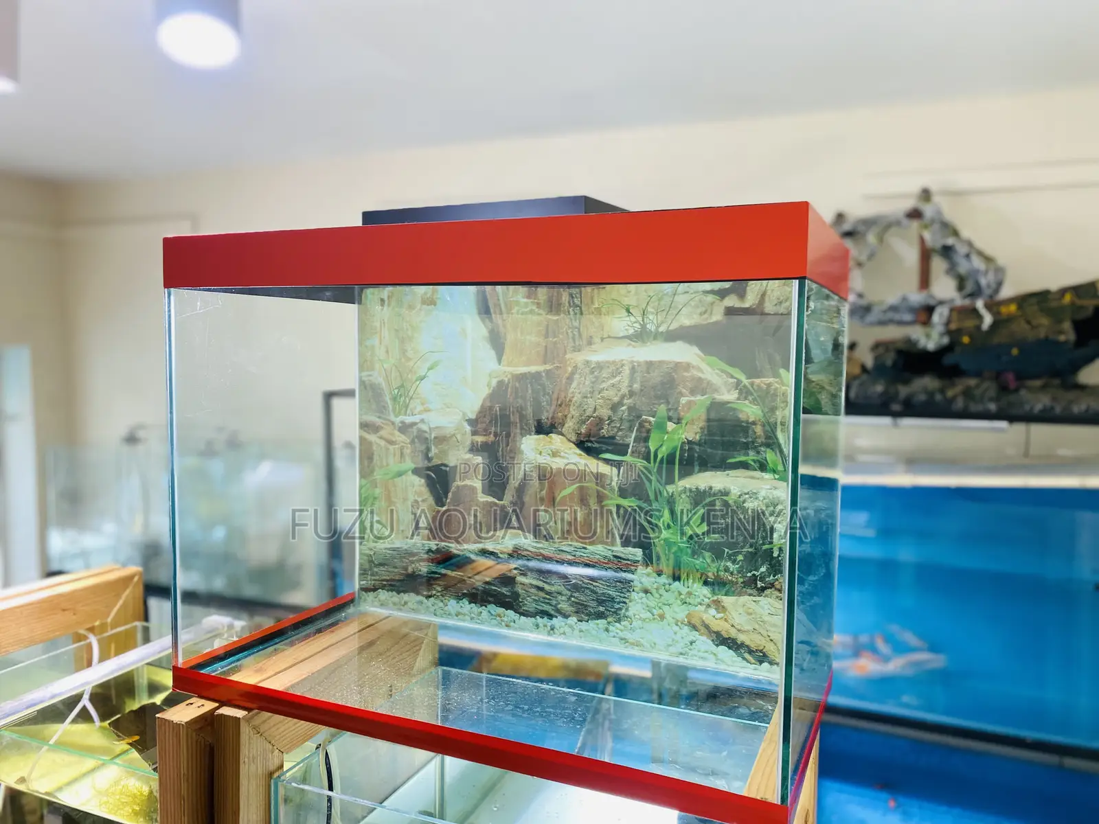 Vibrant Red 2ft Aquarium With Everything You Need