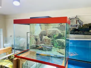 Vibrant Red 2ft Aquarium With Everything You Need