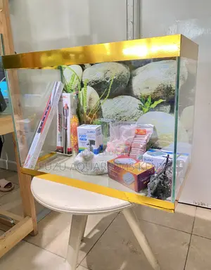 Complete 60l Fish Tank With Stunning Fish Decor