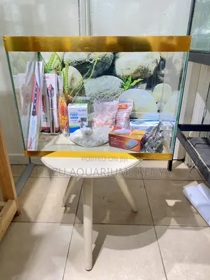 Gold 2ft Aquarium Set – Ready to Go With 10 Colorful Fish