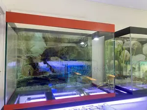 All-in-One Aquarium Package – Just Add Water!