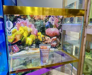 Beautiful 60l Fish Tank With Everything Included