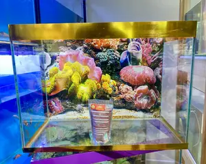 Make Fishkeeping Easy – Complete 2ft Aquarium