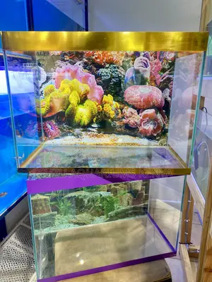 Fully Equipped Fish Tank – For Instant Aquatic Joy