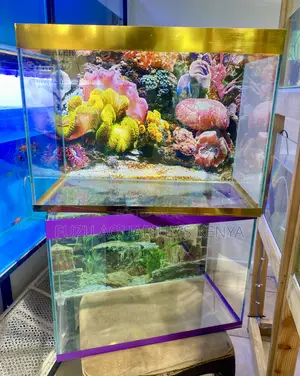 Your Dream Aquarium Setup – Ready for Display