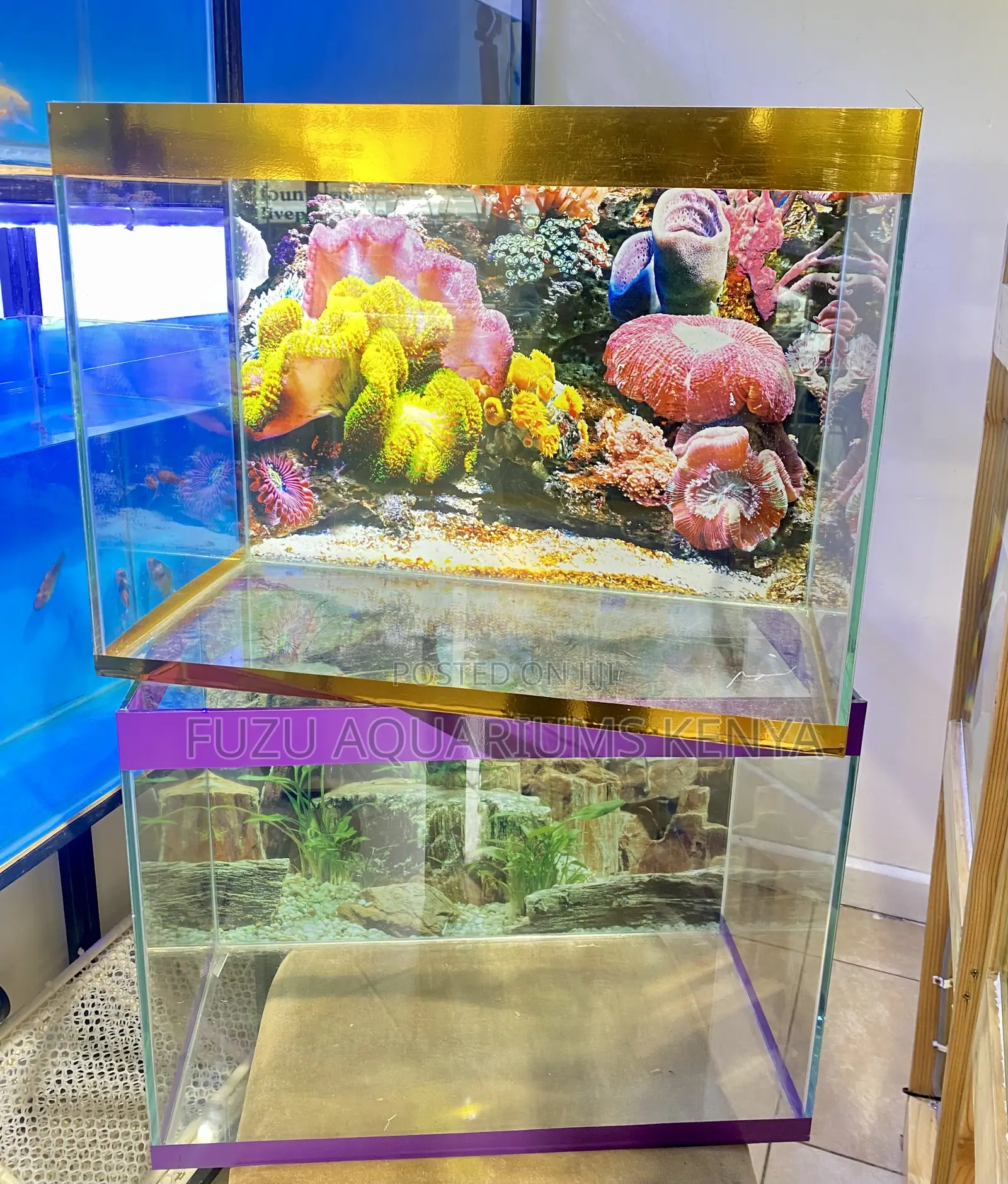 Mini Aquascape Heaven – Complete 60l Setup