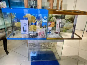 Complete Aquarium Package – Beauty Simplicity (2ft)
