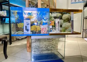 Plug, Pour, Play – Aquarium With Fish Decor
