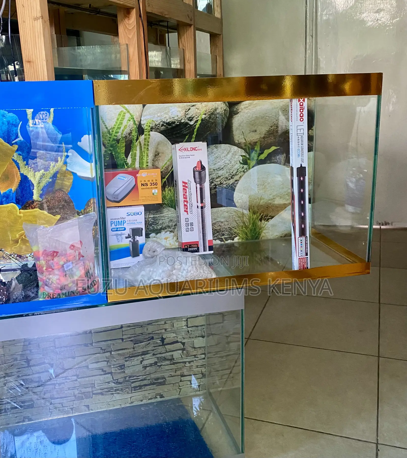 Perfect Starter Aquarium Kit – All-in-One Offer