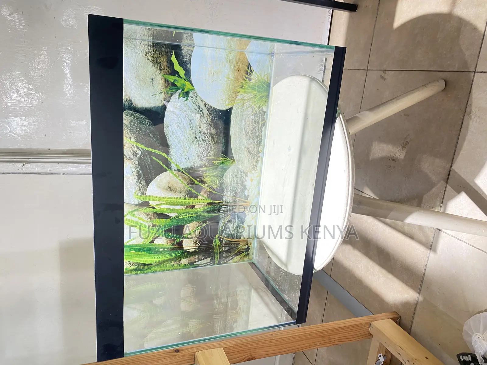 Your Zen Zone – Fully Stocked Aquarium Package