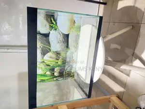 From Box to Beauty – Aquarium Kit With Fish Included