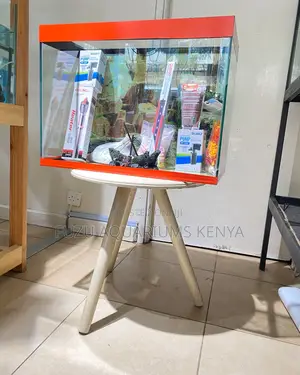 Turn Any Space Into a Mini Reef – 60l Aquarium Deal