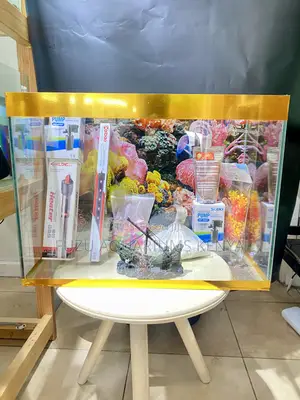 Discover the Joy of Fishkeeping – 60l Aquarium Setup