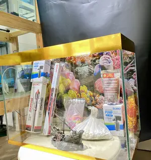 Decorated, Stocked Ready – Just Plug Play Aquarium