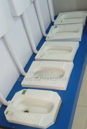 Asian Step Toilets (White) and Cistern