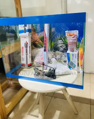 Fish Tank Goals – Vibrant, Calm Easy Blue