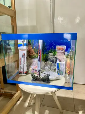 Home Aquarium Magic in 2ft