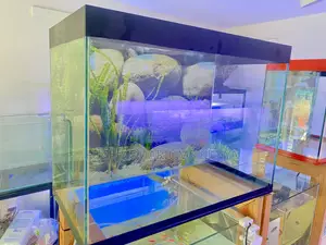 The Aquarium That Changes Everything