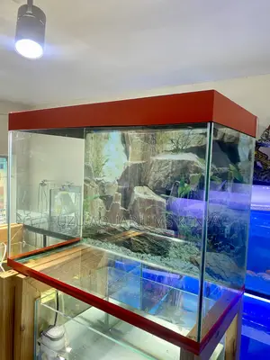 Watch Life Bloom in This Beautiful Red Aquarium Tank