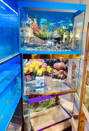 Bright Lights, Colorful Fish, and Pure Joy All in This Tank
