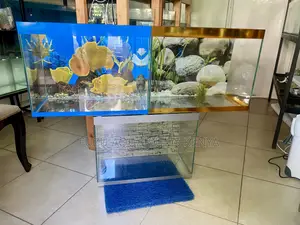 An Aquarium That’S Both Smart Stunning