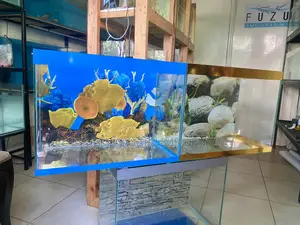 Complete Underwater World in 2ft Range of Aquariums