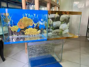 Live Art for Your Living Room, 60l Aquarium