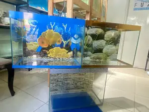 Turn Any Corner Into a Fish Paradise With This Aquariums