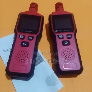 Portable Combustible Gas Detector