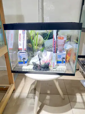 The Aquarium That Comes With Everything