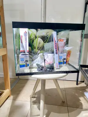 Your Dream Aquarium in Just 2ft