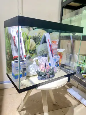 Bring Life to Your Space – Fully Loaded Aquarium