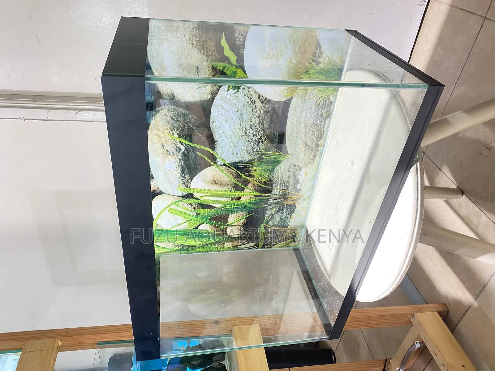 2ft of Aquatic Beauty – Complete Starter Kit