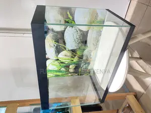 2ft of Aquatic Beauty – Complete Starter Kit
