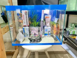 Peaceful Views in Every Bubble From Awide Range of Aquariums