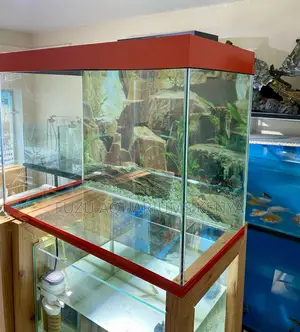 Decor, Fish Light – All Inclusive Aquarium