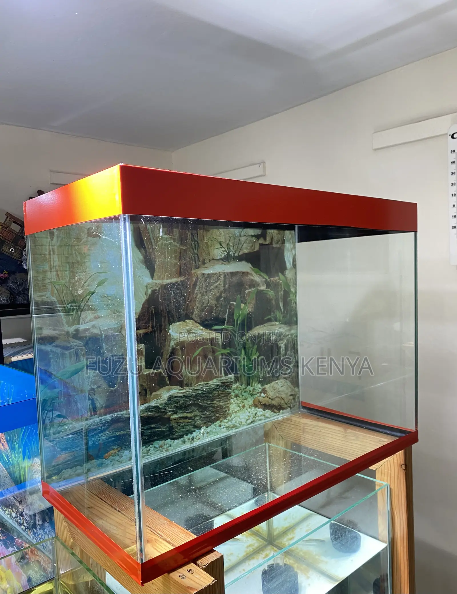 Set Up Your Mini Aquarium Paradise Today