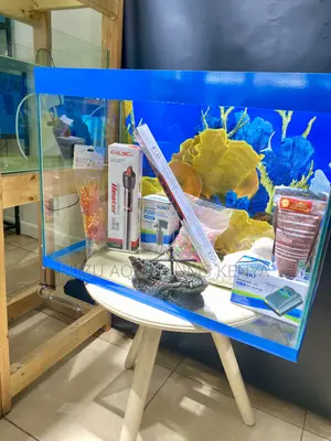 Nature’S Beauty in a Glass Aquarium