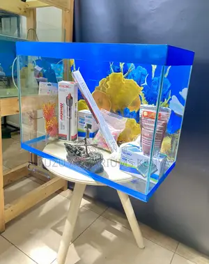 Dive Into Peace – Aquarium With Full Setup